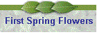 First Spring Flowers