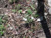 110-1029_IMG.JPG (650394 bytes)