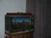 IMG_0987.JPG (322939 bytes)